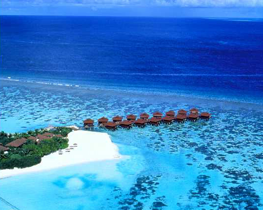 ����� �ľ���Ǫ��